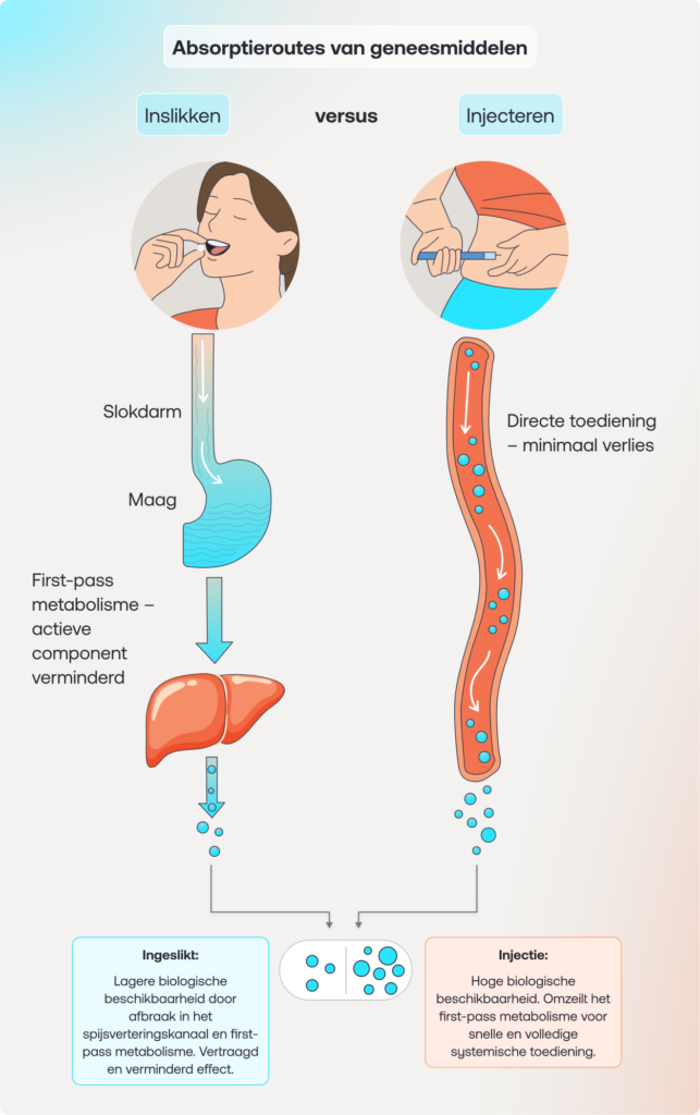 NL_Drug Absorption Pathways Comparison