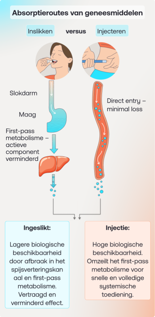 NL_Drug Absorption Pathways Comparison_M
